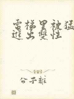 电梯里被猛烈的进出双性