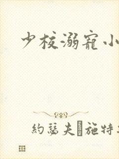 少校溺宠小小妻