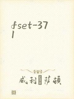 fset-371