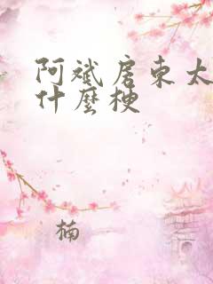 阿斌房东太太是什么梗