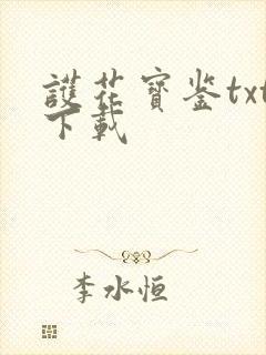 护花宝鉴txt下载