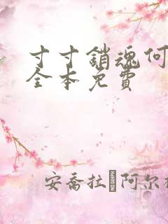 寸寸销魂何生祥全本免费