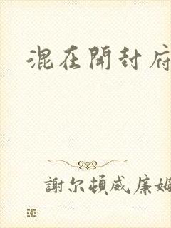 混在开封府