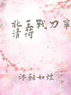 北王战刀宁北苏清荷