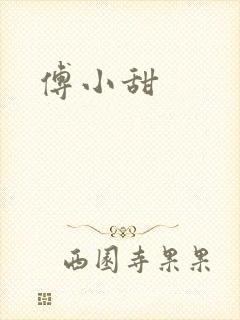 傅小甜