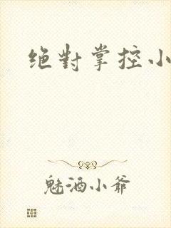 绝对掌控小说