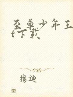 至尊少年王txt下载