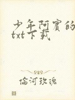 少年阿宾的故事txt下载