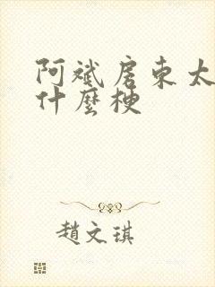 阿斌房东太太是什么梗