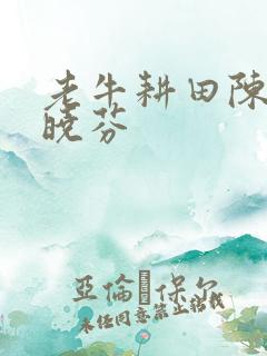老牛耕田陈雪杨晓芬