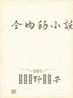 全肉的小说