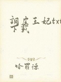 调皮王妃txt下载