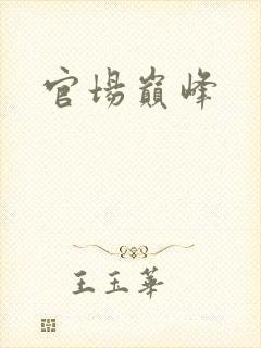 官场巅峰