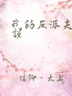 我的反派夫君小说