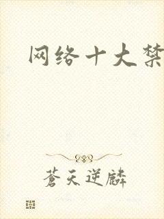 网络十大禁书