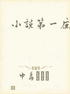 小说第一庶女