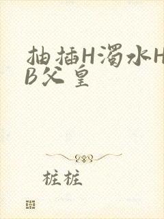 抽插H浊水H嫩B父皇