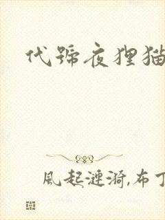 代号夜狸猫事件