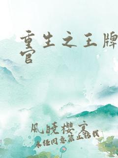 重生之王牌检察官