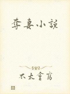 夺妻小说