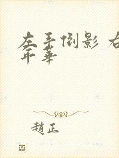 左手倒影 右手年华