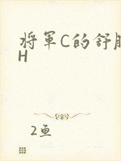 将军C的舒服么H