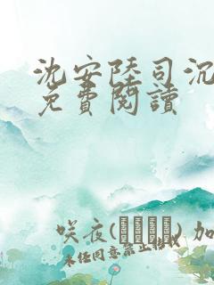 沈安陆司沉小说免费阅读