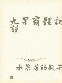 九星霸体诀 小说