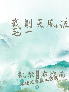 武则天风流艳情毛一