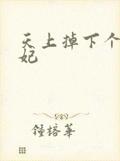 天上掉下个奇王妃