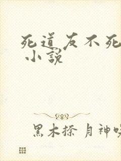 死道友不死贫道 小说