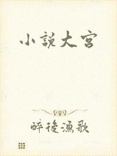 小说大宫