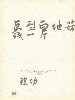 巨型白地菇多少钱一斤