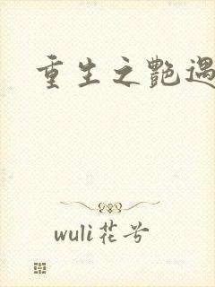 重生之艳遇传说