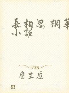 长相思 桐华 小说