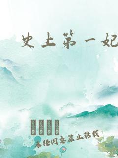 史上第一妃