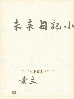 未来日记小说