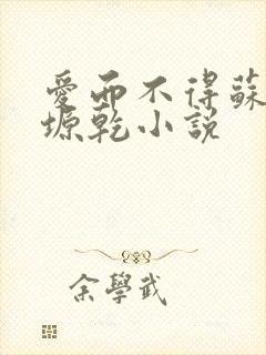 爱而不得苏路顾塬乾小说