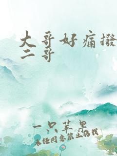 大哥好痛拨出去二哥