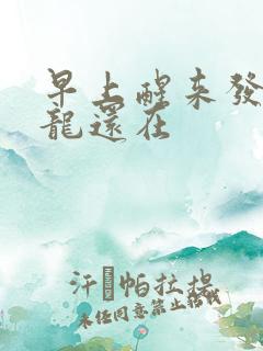 早上醒来发现巨龙还在