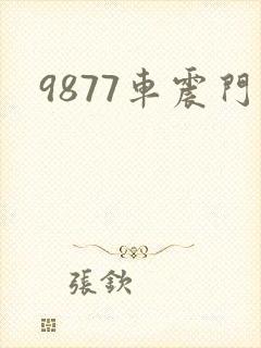 9877车震门
