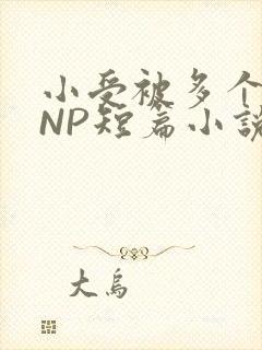 小受被多个攻强NP短篇小说