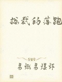 总裁的落跑情人