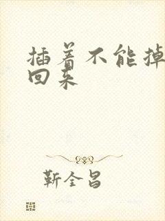 插着不能掉等我回来