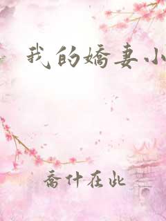 我的娇妻小说
