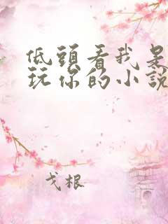 低头看我是怎么玩你的小说