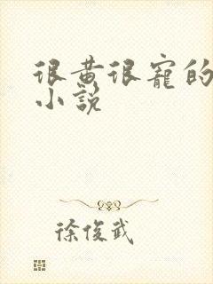 很黄很宠的总裁小说