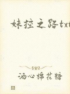 妹控之路txt