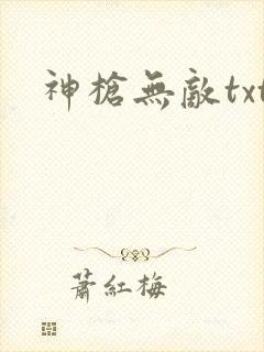 神枪无敌txt