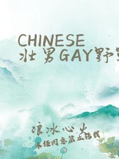 CHINESE壮男GAY野战强迫TUBE